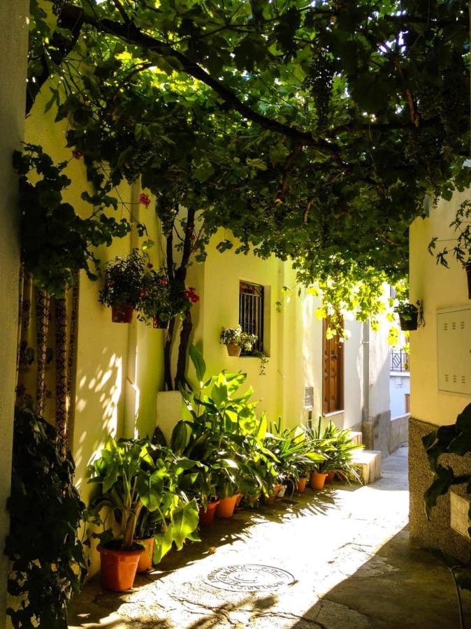 Casa Corasol, A Cozy, Comfy, 2Br House- Panoramic View And Rooftop Canar Dış mekan fotoğraf